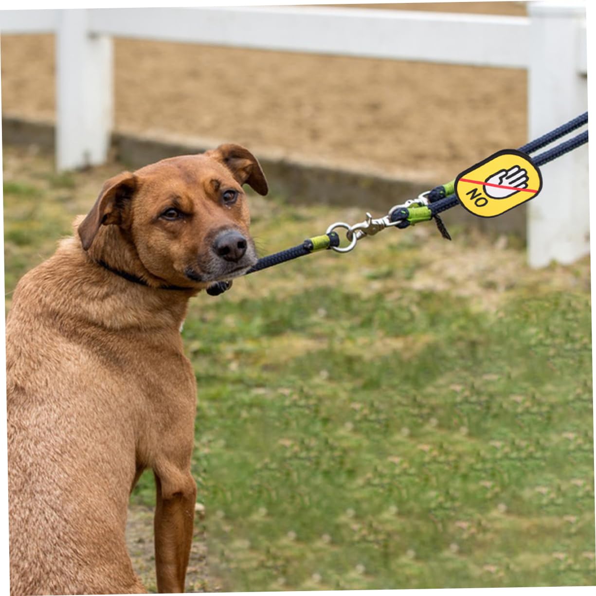Cabilock Étiquettes D'avertissement en Tissu Imperméable pour Laisses d'animaux Fonction Antiperte Pack de 3 Formes Multiples, pour Identifier Votre Animal en Promenade
