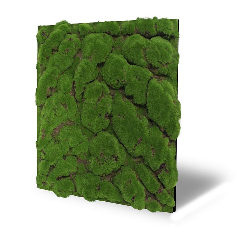 JANGAL Modular Wall Design Moos Paneel (52 x 52 cm)