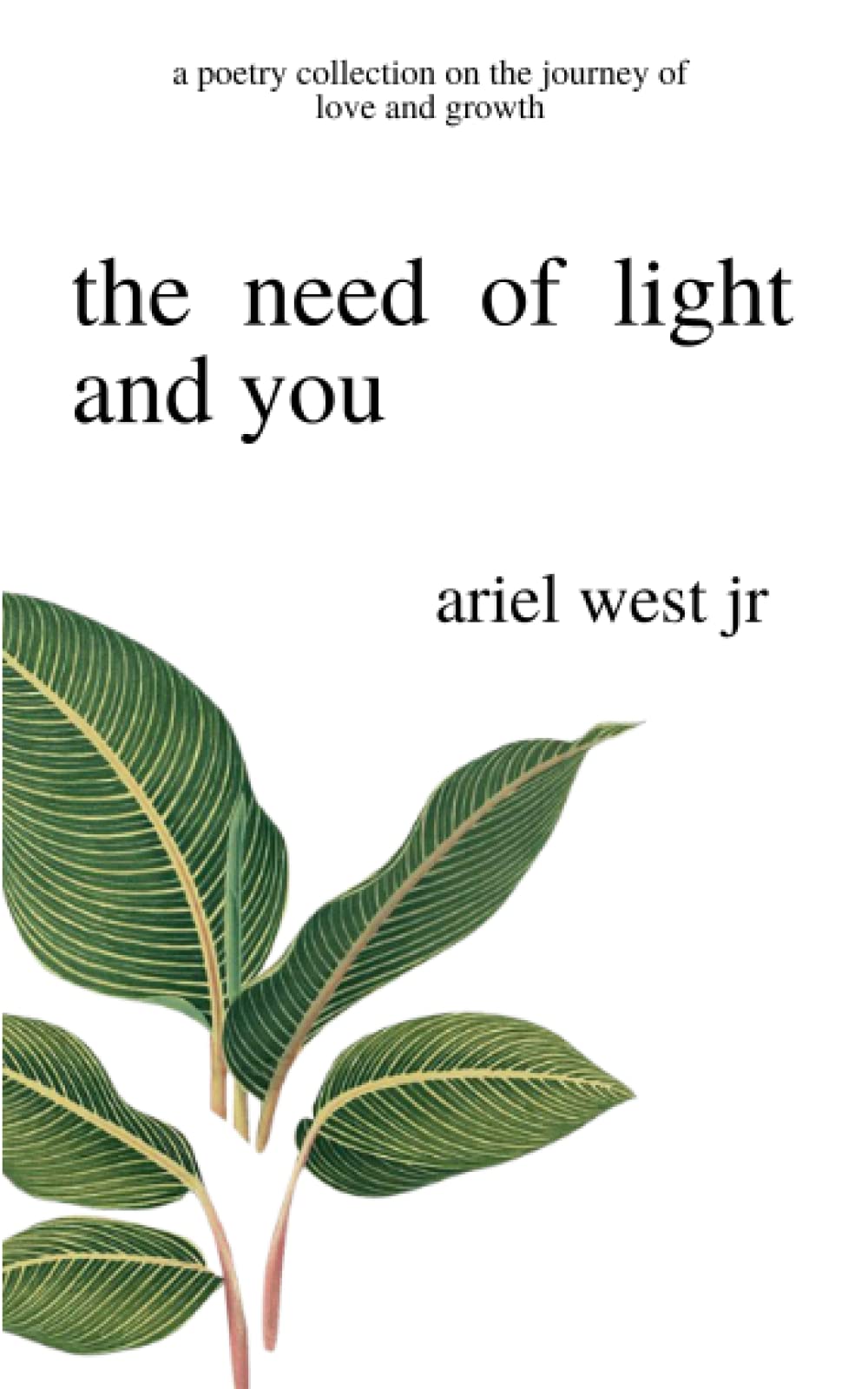 the need of light and you: a poetry collection on the journey of love and growth