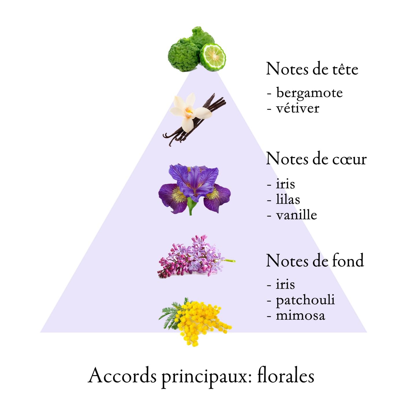 IRIS Naturalne perfumy niszowe dla kobiet 100 ml | Kwiatowy | Rzemiosło | Wyprodukowano we Francji | Produkt Grasse
