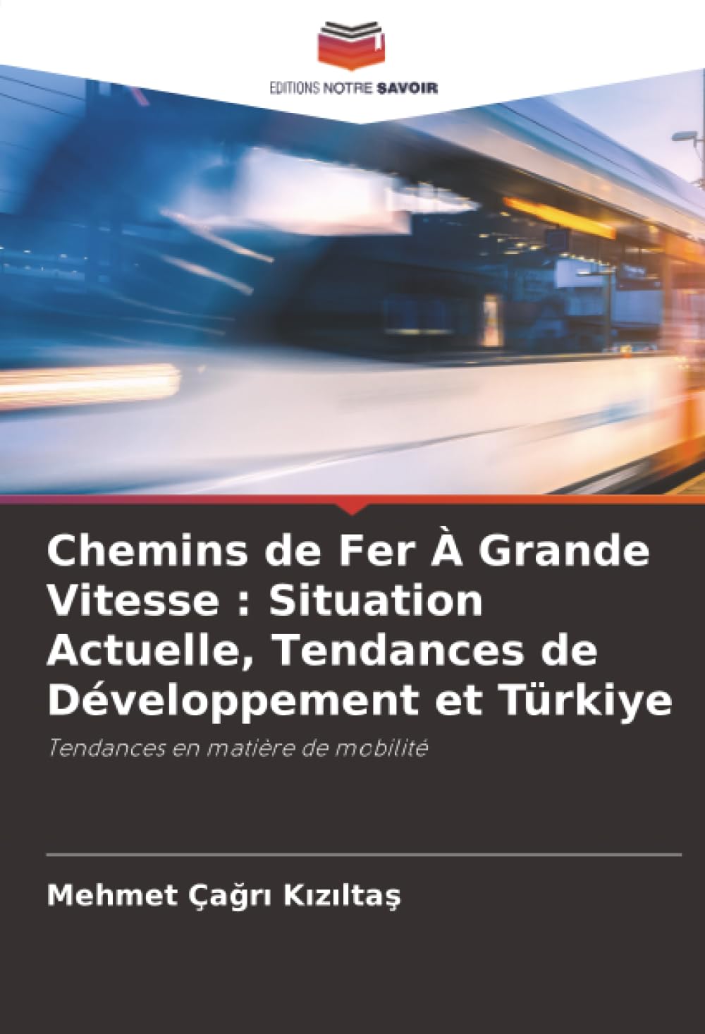 Chemins de Fer À Grande Vitesse : Situation Actuelle, Tendances de Développement et Türki̇ye: Tendances en matière de mobilité