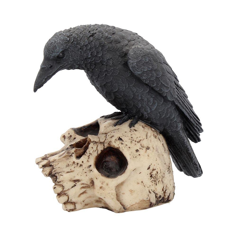 Nemesis Now Black Ravens Remains Figurine 13Cm, Crow Skull Gothic Ornament,