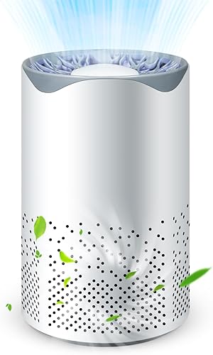 Purificador de aire HEPA para el hogar, purificadores de aire silenciosos para el hogar con cable USB, filtro de aire eliminador para dormitorio,