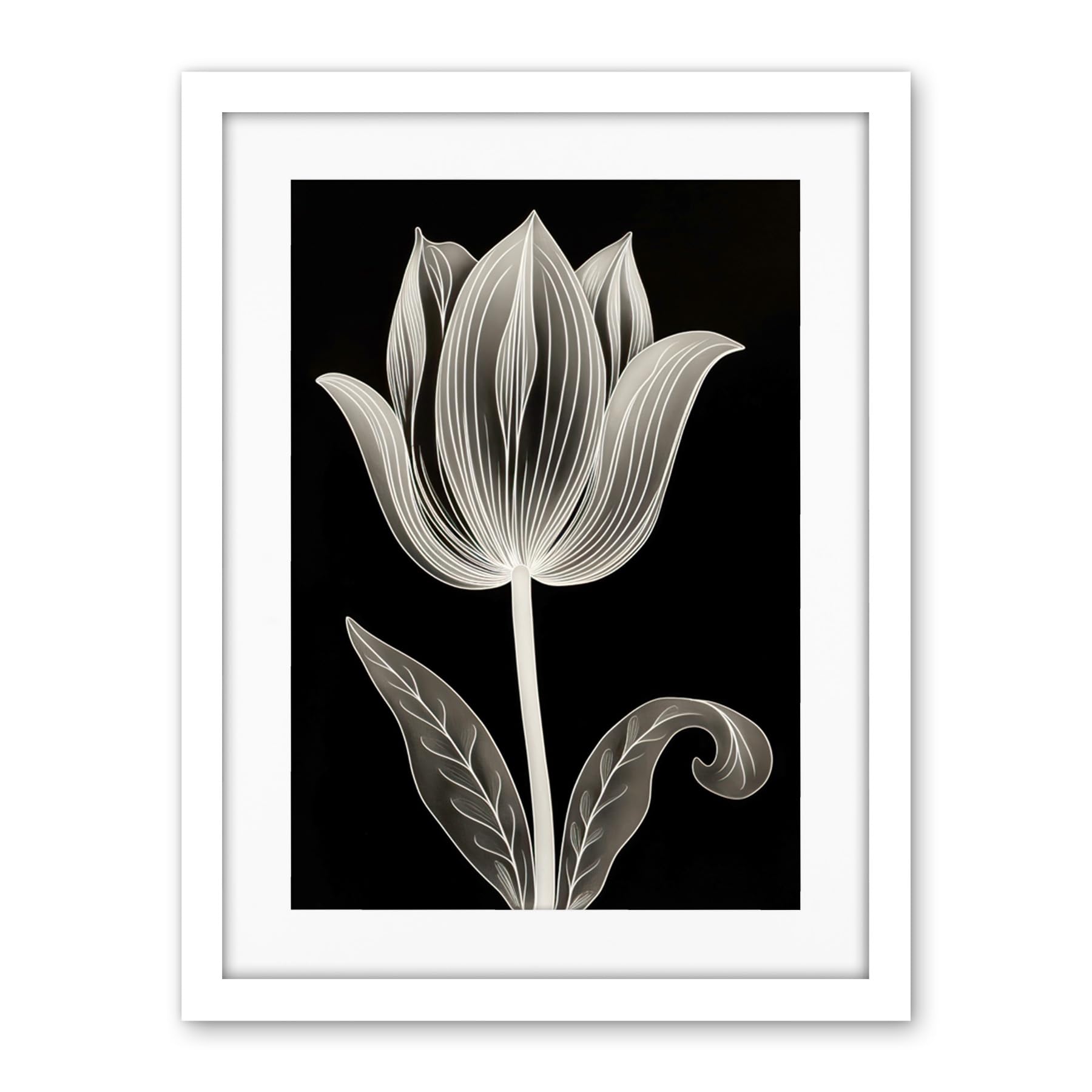 Artery8 A Single Tulip Flower Black and White Folk Art Artwork Framed Wall Art Print 18X24 Inch