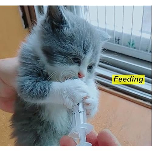 3 Pack 100ml Syringes Luer Lock, Large Plastic Syringe For Scientific Labs And