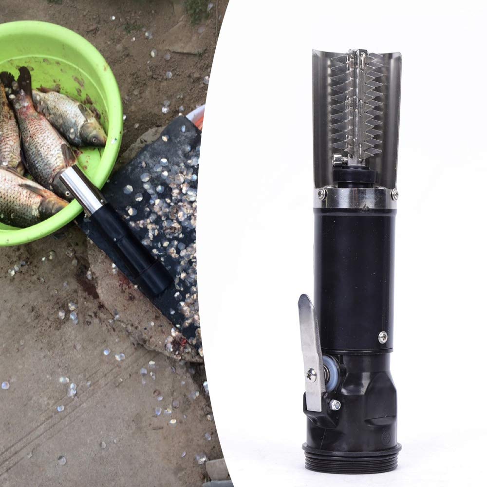 Futchoy Salpicadero eléctrico de acero inoxidable eléctrico para peces, removedor automático de escamas de pescado, resistente al agua, recargable