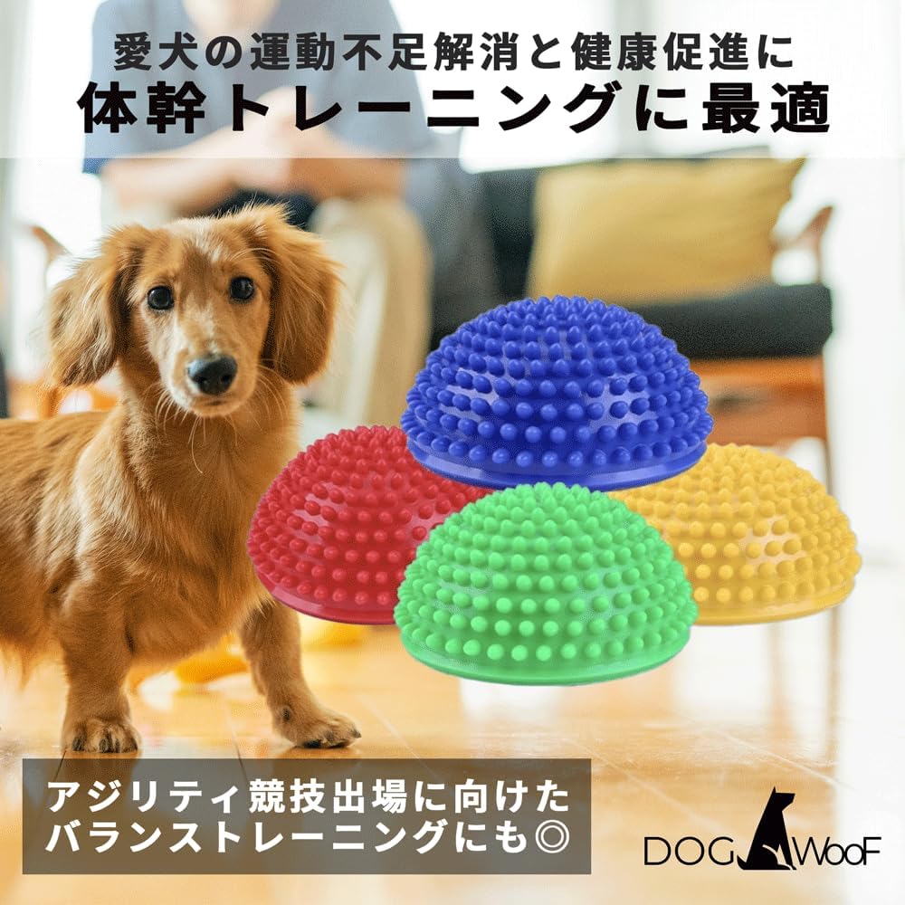 パテラ対策にDOG WooFバランスボールで膝を安定させよう 2 愛犬のための体幹トレーニングのイメージ