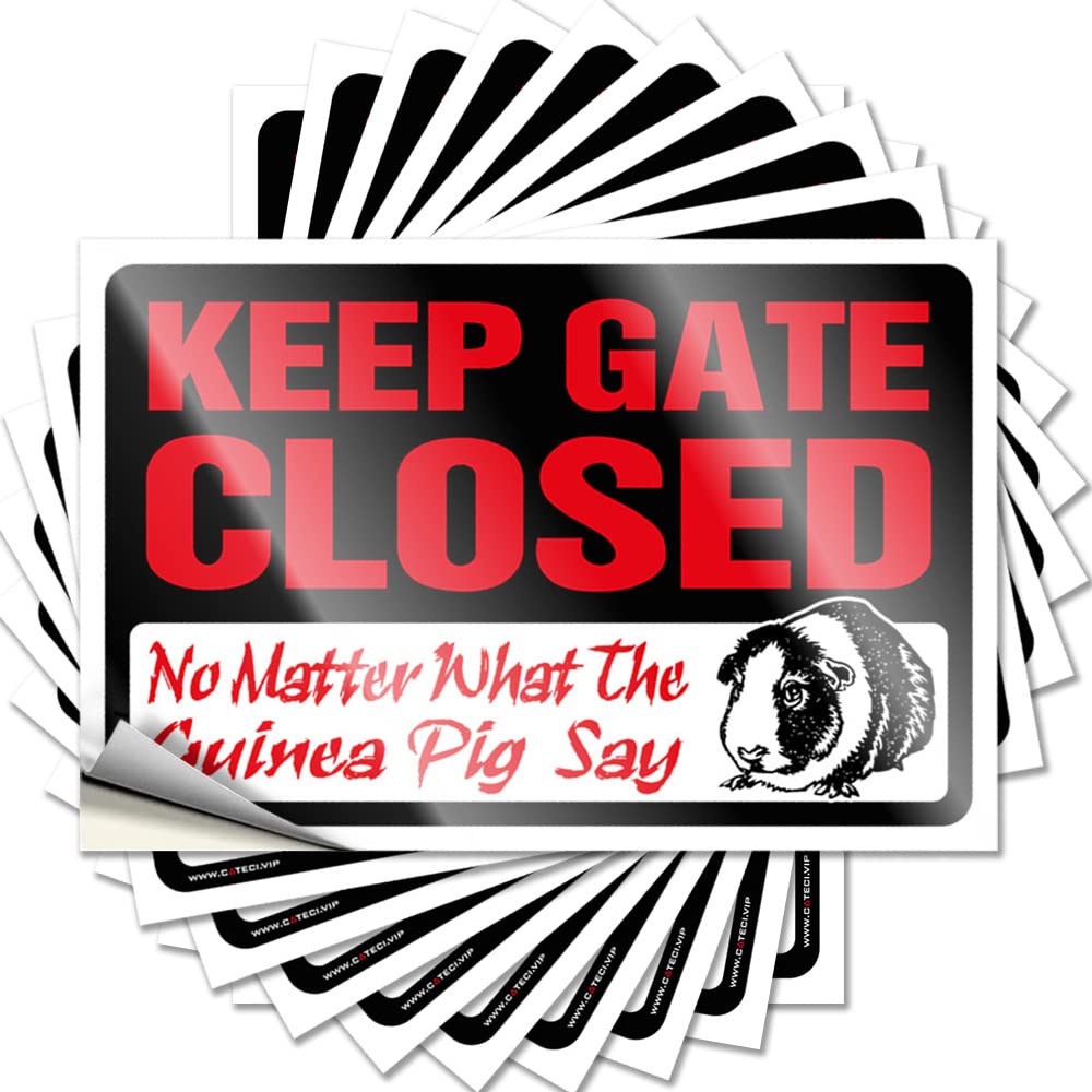 Fzfn Girls Colour Work Office Decor High Stickers - Keep Gate Closed No Matter What The Guinea Pig Say Removable Decal Wall Easy Peel For (12X18cm)