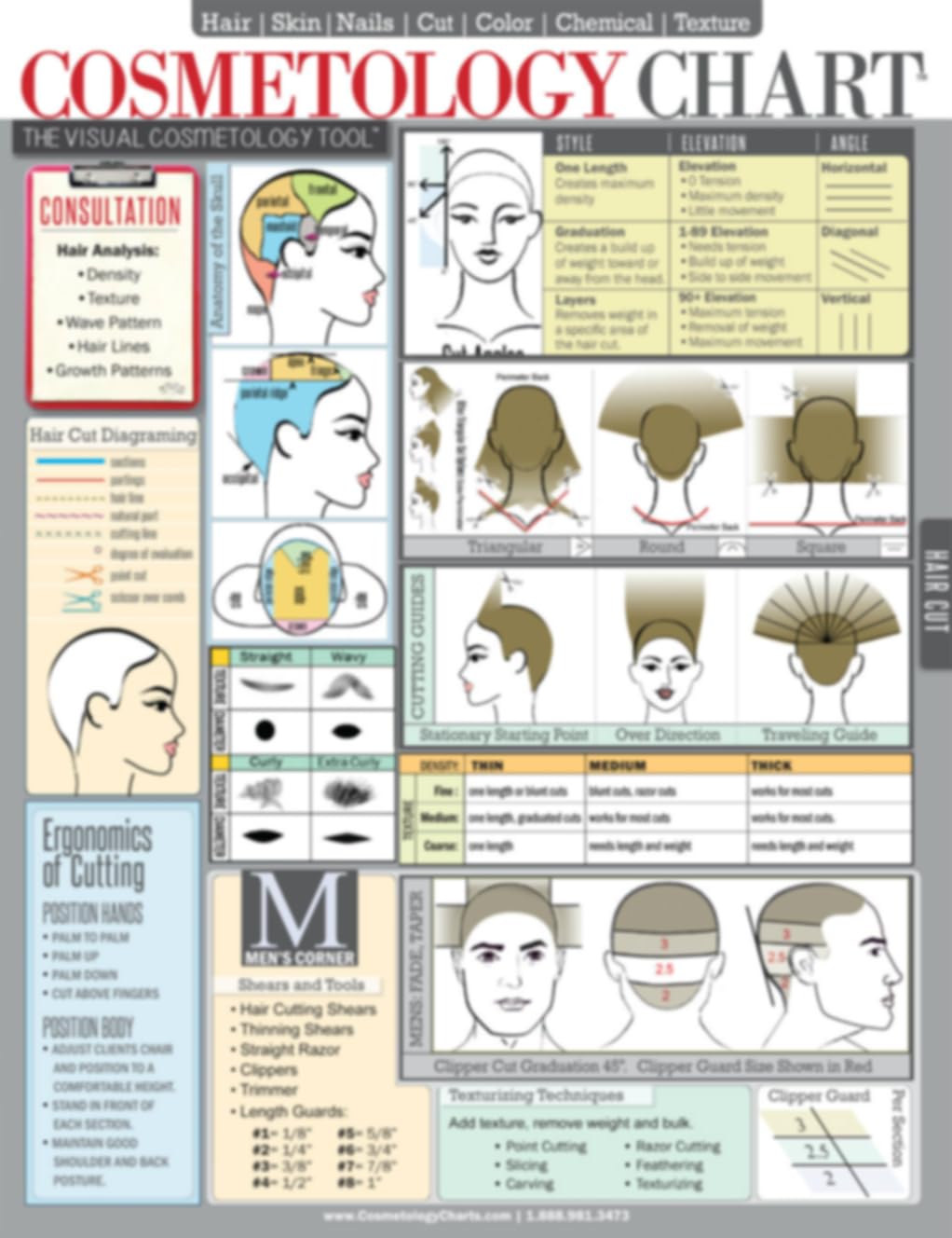 Cosmetology Stylists Cheat Sheet, Designed for Hair Stylists, Students & Educators, Laminated Spill-Proof & Tear Proof 6-Pages 8-1/2"x11"