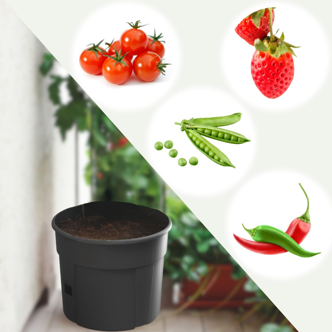 FORTENA 4X Tomatenzuchttopf für Balkon Garten Tomatentopf Tomatenzucht Tomatenkübel 28L