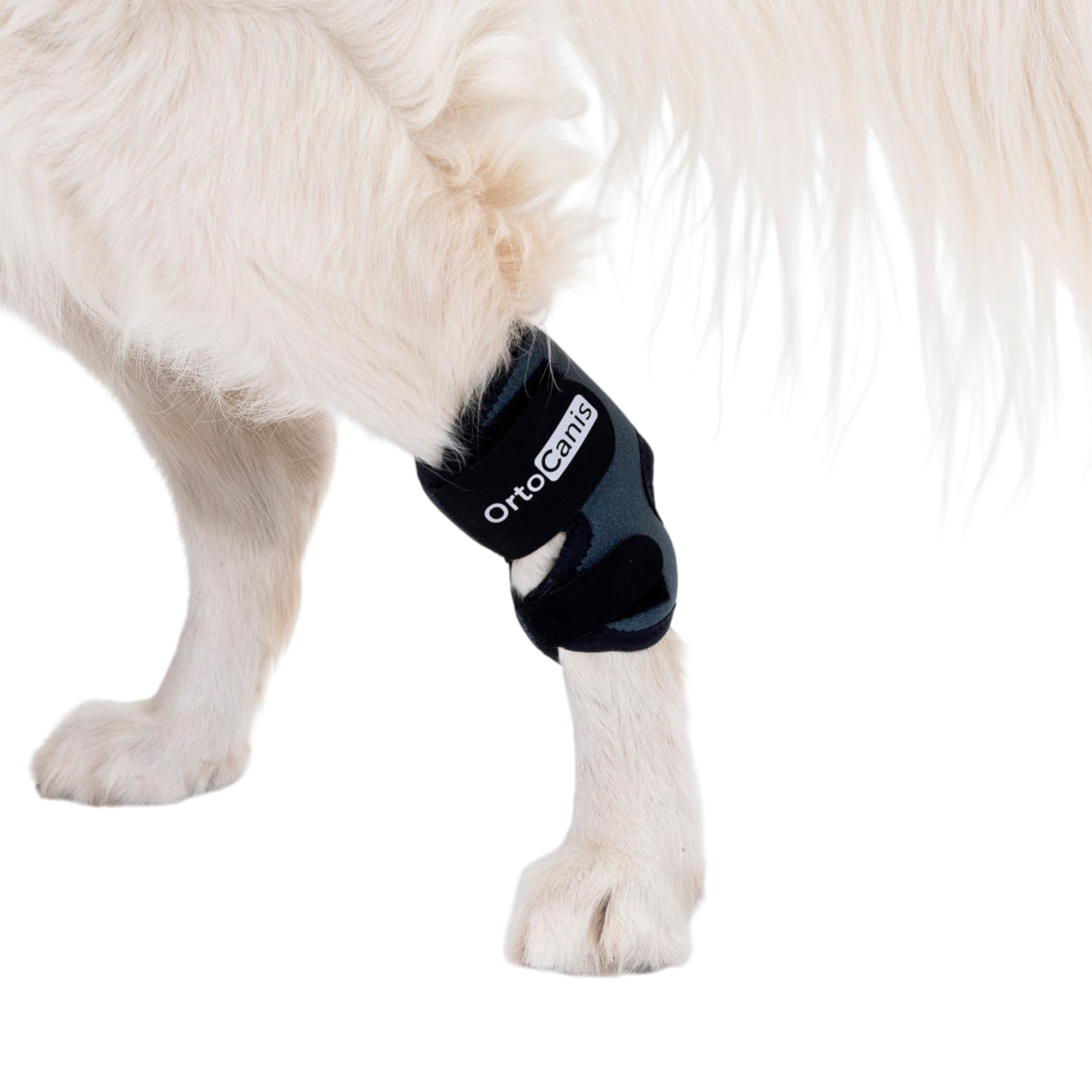 Support de tarse pour chien Ortocanis arthrose et lésion XS