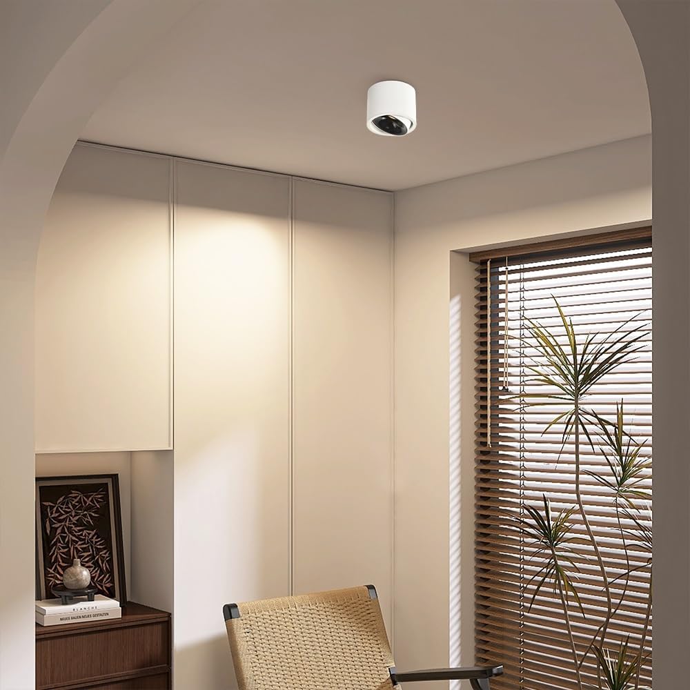 3.7" LED Ceiling Mount Spotlight Adjustable Spot Lighting Fixture Exposed Mounted Focus Accent Lamp, 30° Rotation Directional Spotlights for Living Room Hallway(Black+white-3500K)