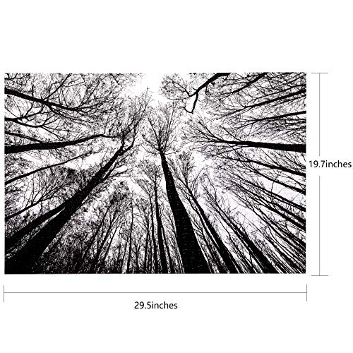 Puzzle Naturaleza Forest 12 años miniatura 5