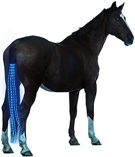 SSZYace Horse Equipment Riding Tail Trappings Equestrian LED Flashing Light Bar Harness Outdoor Sports USB Charge Riding Decorations (Blue)