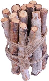 Amosfun Small Birch Logs 20 Pcs 10CM Birch Branches Wood Birch Twigs Natural Logs for Fireplace Wood Crafts DIY Home Decorative Burning