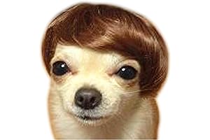 Bobo Poop Pet Dog Wig