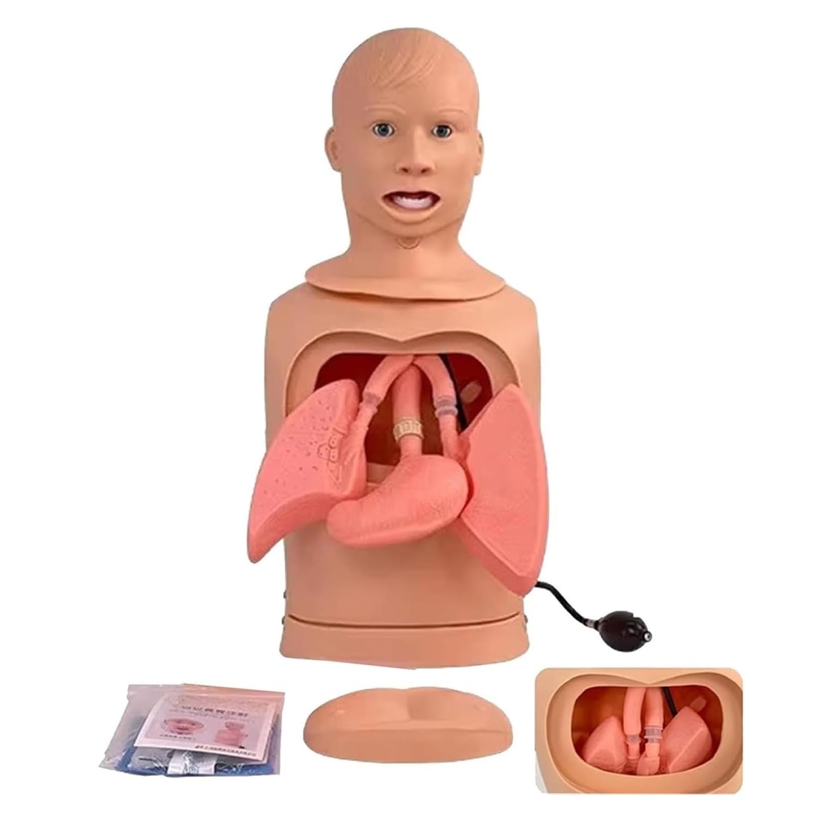 Medizinisches Geschenk, Modell for die Intubation mit Magensonde, Übungspuppe for fortgeschrittene nasogastrale Sonden- und Tracheapflege for Pflegekräfte und Medizinstudierende