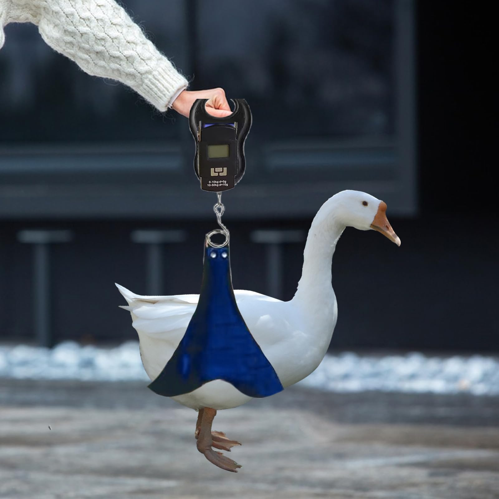 Animal Holder, Chicken Weighing Sling, Waterproof Adjustable Hen Scale with Strong Fabric Support, Lightweight Portable Farm Accessory for Measuring Poultry Weight and Safe Animal Handling