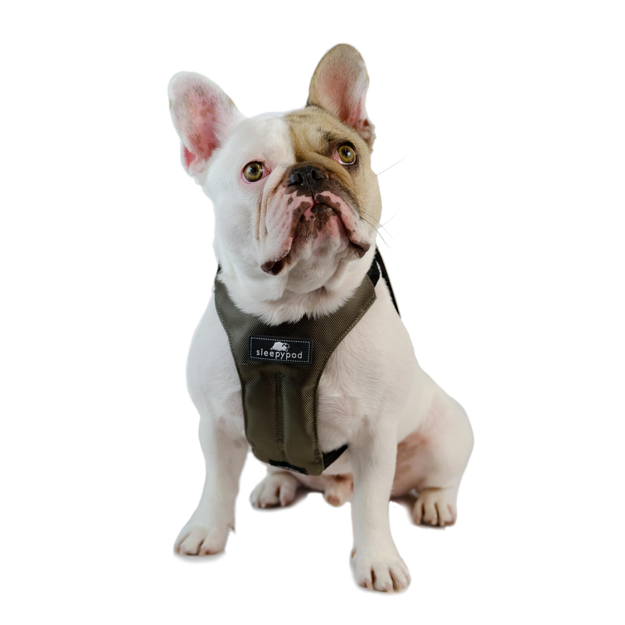 Clickit Sport Plus - Crash-Tested and Safety Certified Car Seat Belt Harness for Dogs (Large, Olive Green)