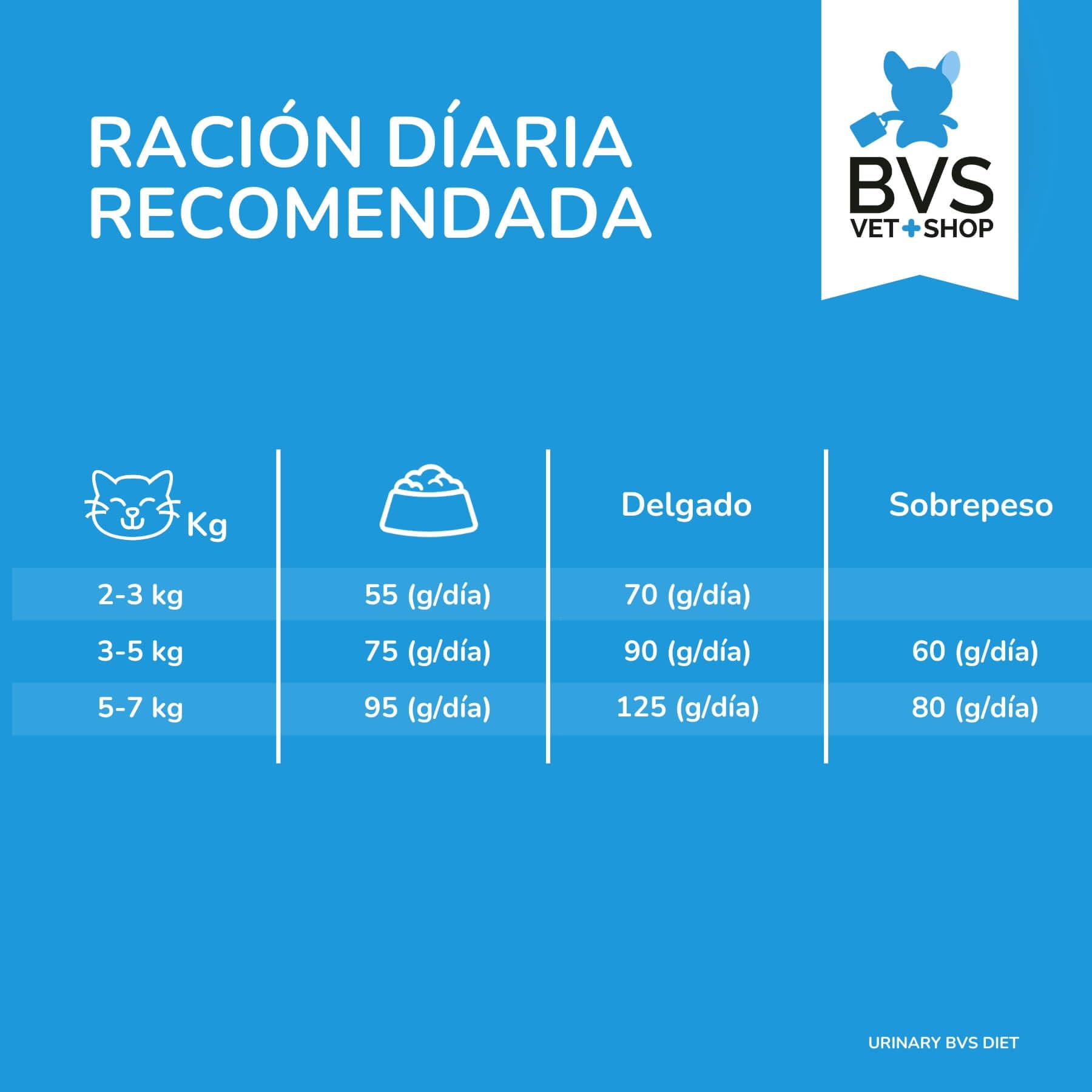 BVS Vet Shop | Diet Gato Urinary | Pienso de prescripción destinado a Reducir la formación de cálculos de estruvita | 2 x 12 kg