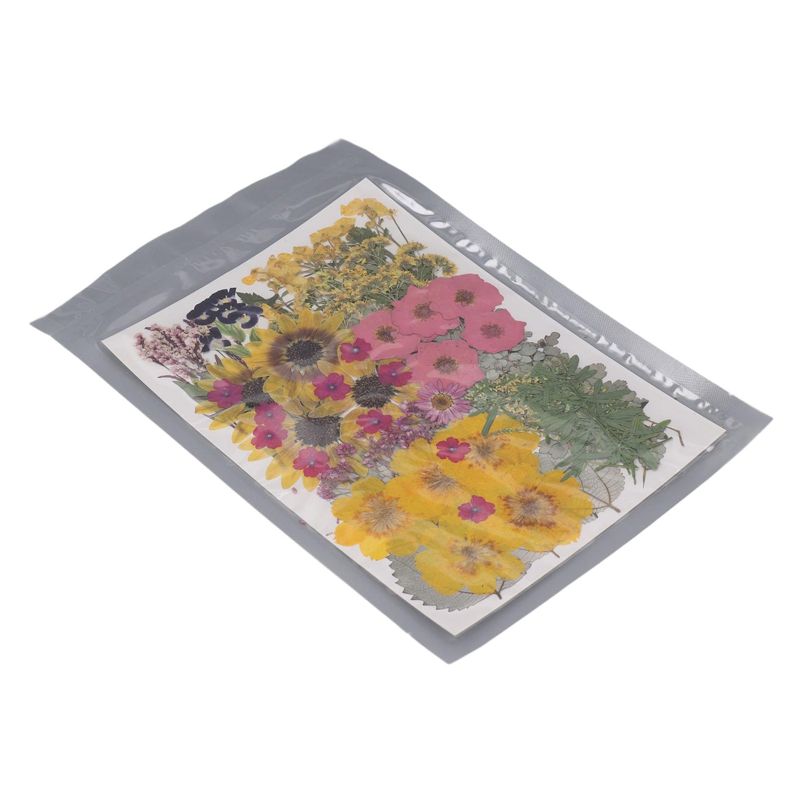 Flores prensadas secas de 100 unidades para fabricación de joyas de resina