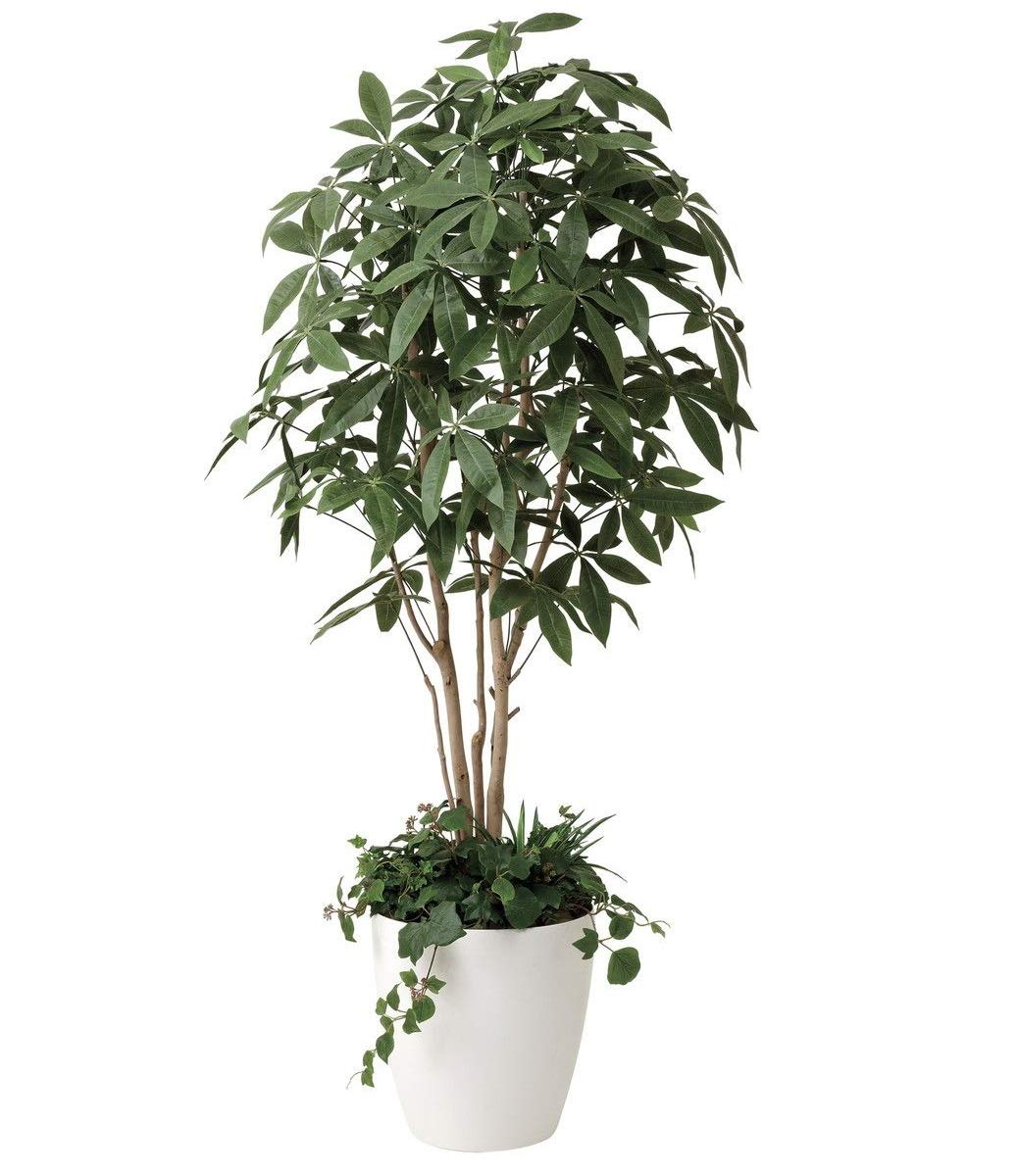 パキラ Geiketsu パキラリーフツリー72 2345A100 W47×D47×H72cm 2024年版 人工観葉植物