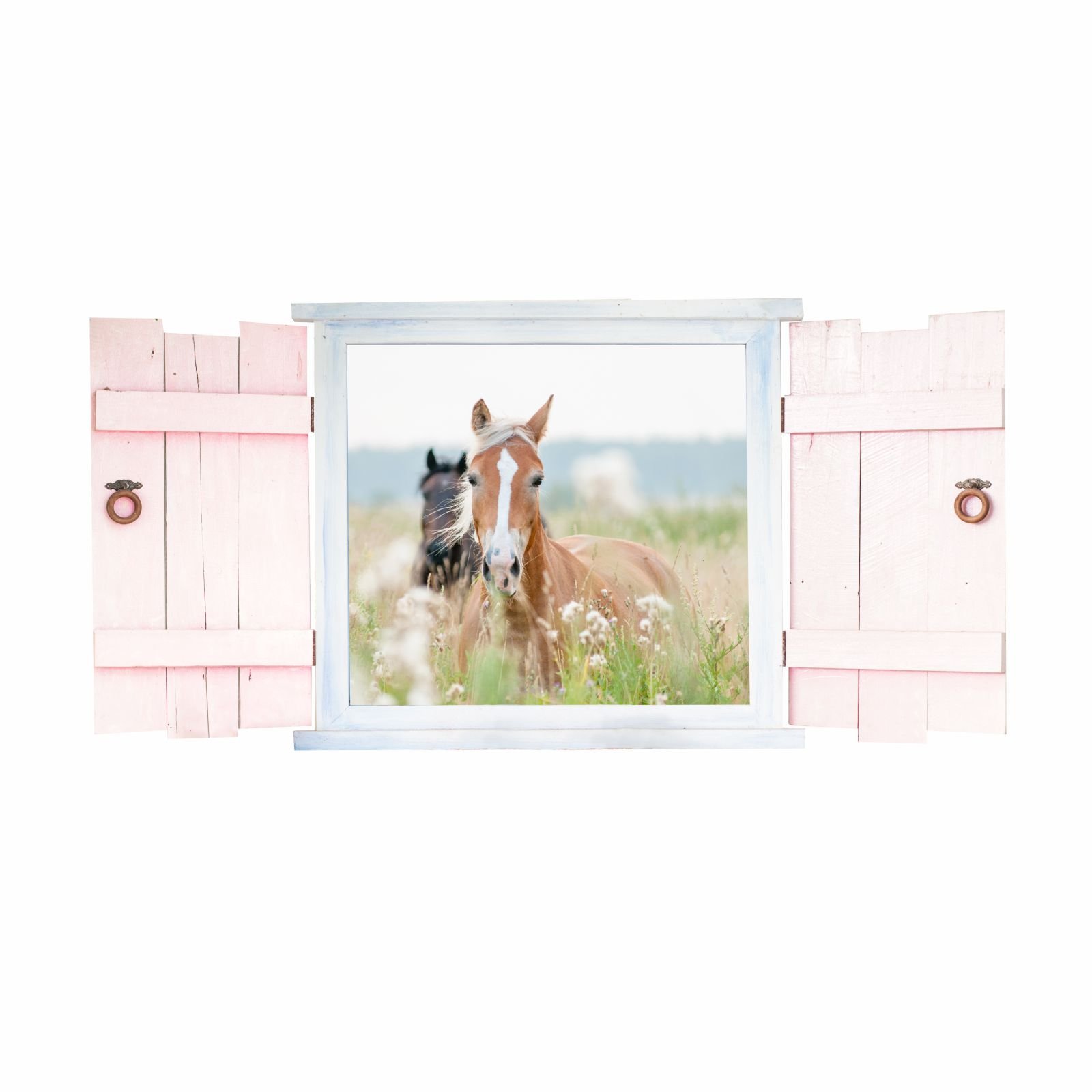 023 Sticker mural Chevaux dans la fenêtre avec volets – Disponible en 6 tailles – Magnifiques stickers pour chambre d'enfant et stickers mignons – Décoration murale pour garçon et fille – Dimensions