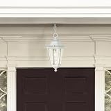 Nuvo 60/991 Hanging Lantern with Clear Seeded Glass, White – view 3