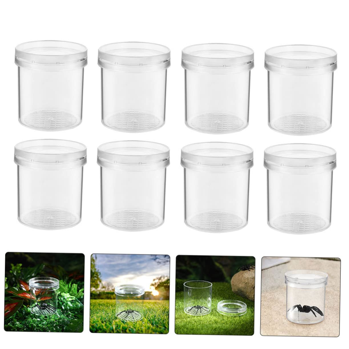 20pcs Magnifying Critter Boxes Live Bug Indoor Display Case for Boys and Girls