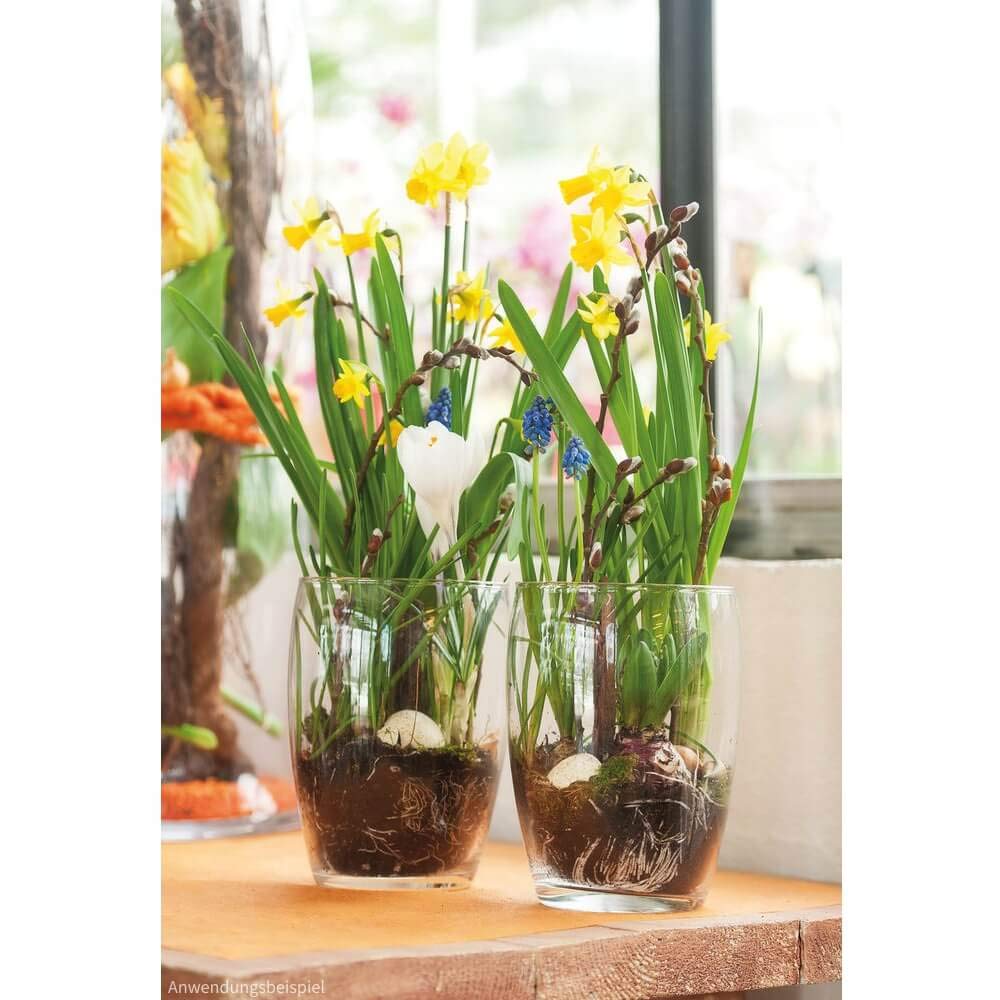 matches21 - Vaso rotondo in vetro per fiori, vaso decorativo in vetro spesso, 1 pezzo, 12 x 12 cm