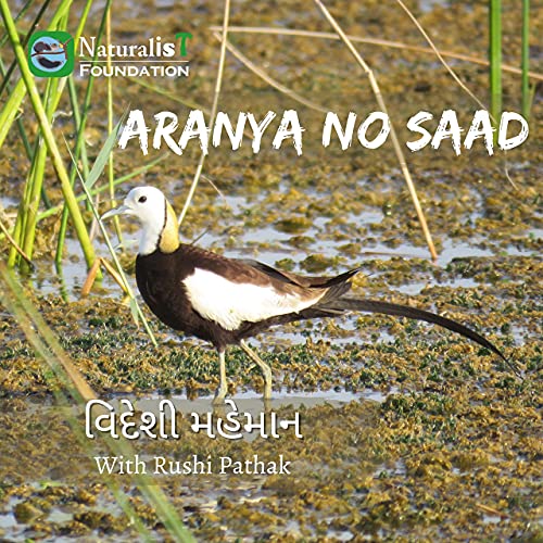 ભારત મા વિદેશી પક્ષીઓ નો આવકારો