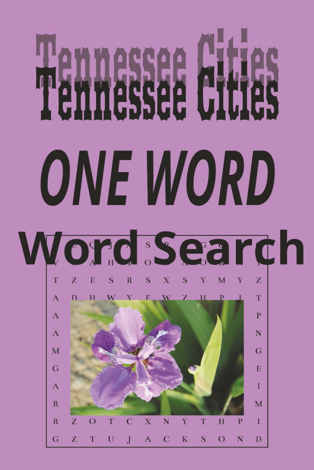Tennessee Cities “One Word” Word Search Puzzle Book: One Word, Word Searches with Easy to Read Print about cities in the state of Tennessee | 6x9 ... for Holidays, Road trips and Get Well Wishes