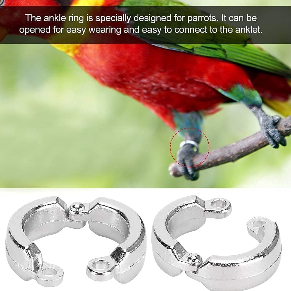 10Pcs Anelli per Piedi per Uccelli Anello in Metallo per Gambe di Pappagalli Attività di Addestramento per Mosche All'aperto Clip di Apertura Accessori per Piccoli Uccelli Animali Domestici(n.6)