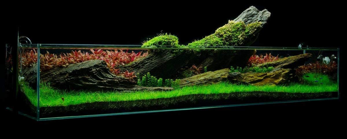 Environment Advanced Soil Plants/Shrimp, 8 Liter