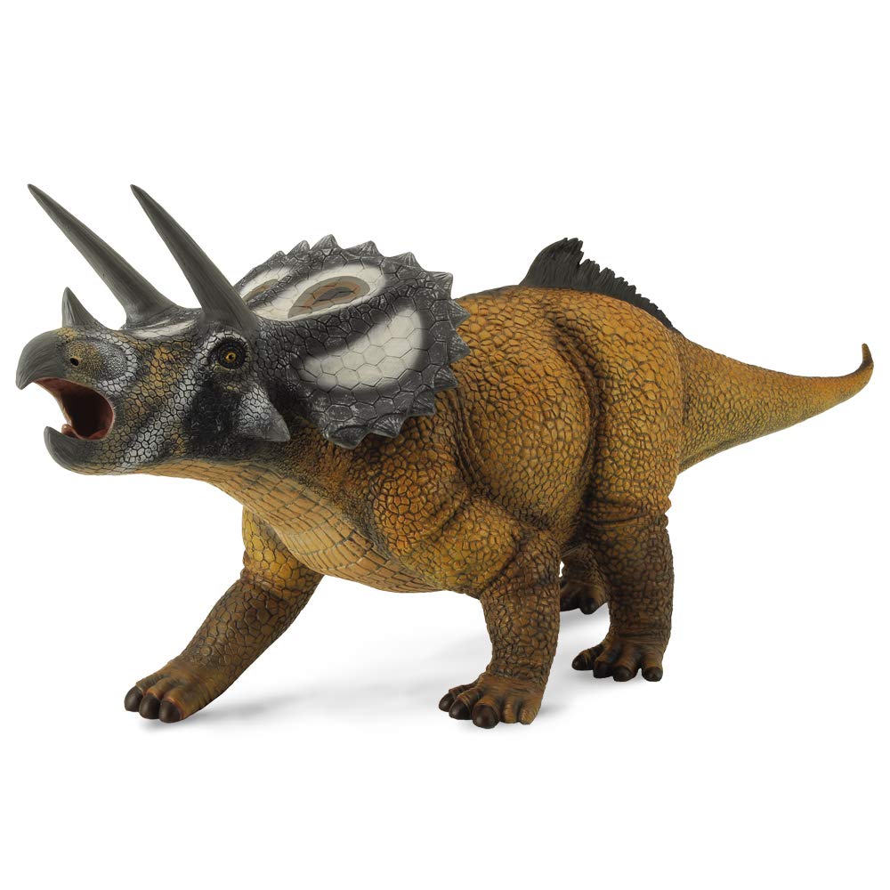 Collecta- Rysunek (88559)