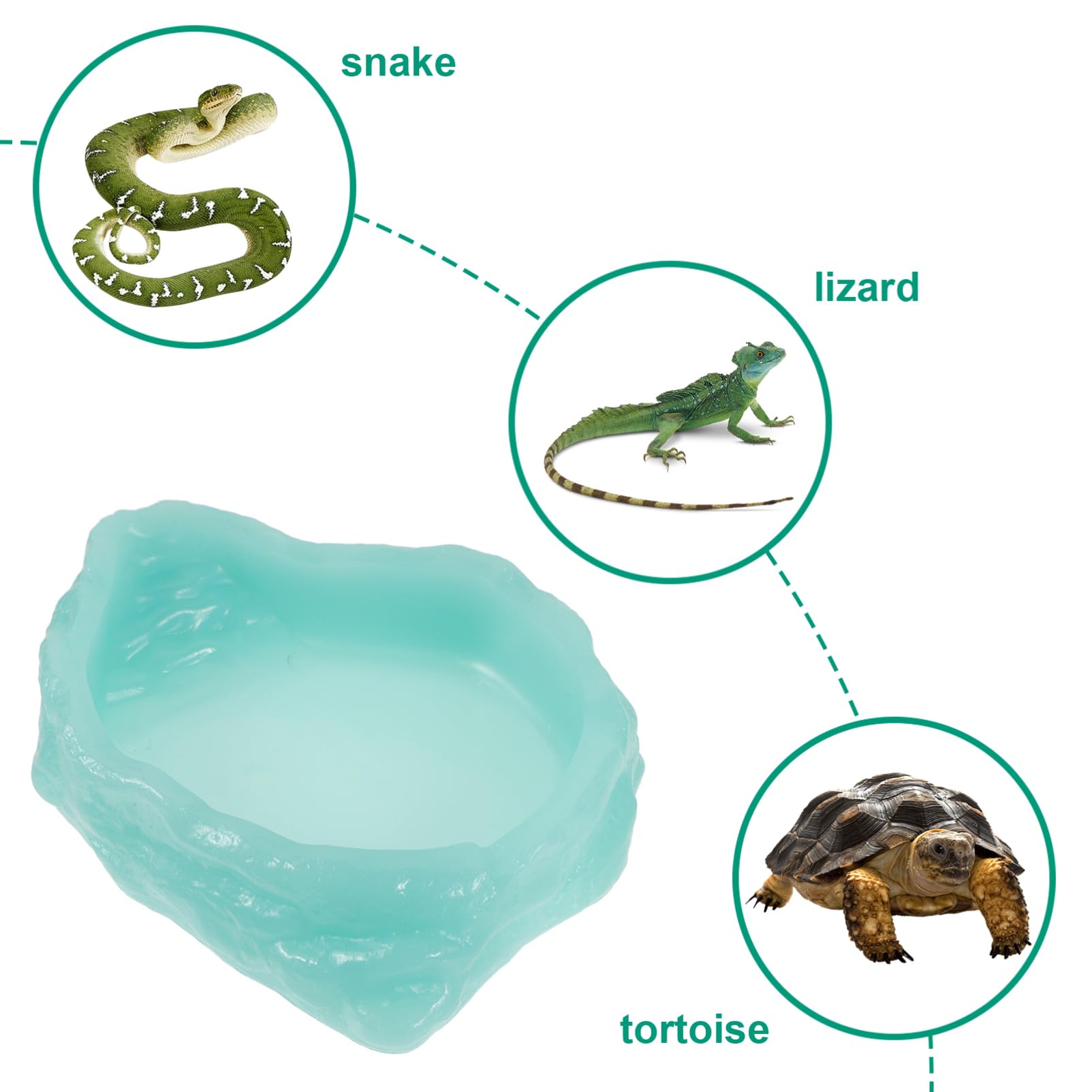 Abaodam Plato De Alimentación para Reptiles Luminiscente Comedero De para Tortugas y De Limpiar y Antideslizante para Pequeñas