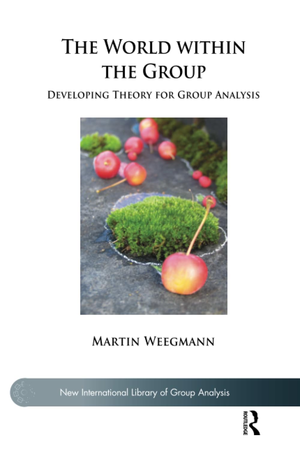The World within the Group: Developing Theory for Group Analysis (The New International Library of Group Analysis)
