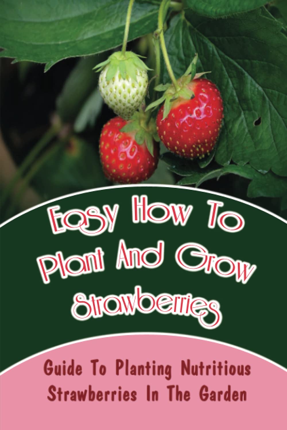 Easy How-To Plant And Grow Strawberries: Guide To Planting Nutritious Strawberries In The Garden: Different Types Of Strawberries
