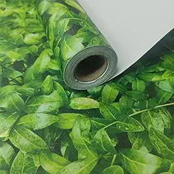 Papel de Parede PREMIUM FOLHAS VERDES 5m x 45cm Adesivo Autocolante Sala Quarto Cozinha (4)