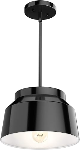 Hunter Fan Company 19025 Cranbrook Lámpara colgante, acabado negro mate