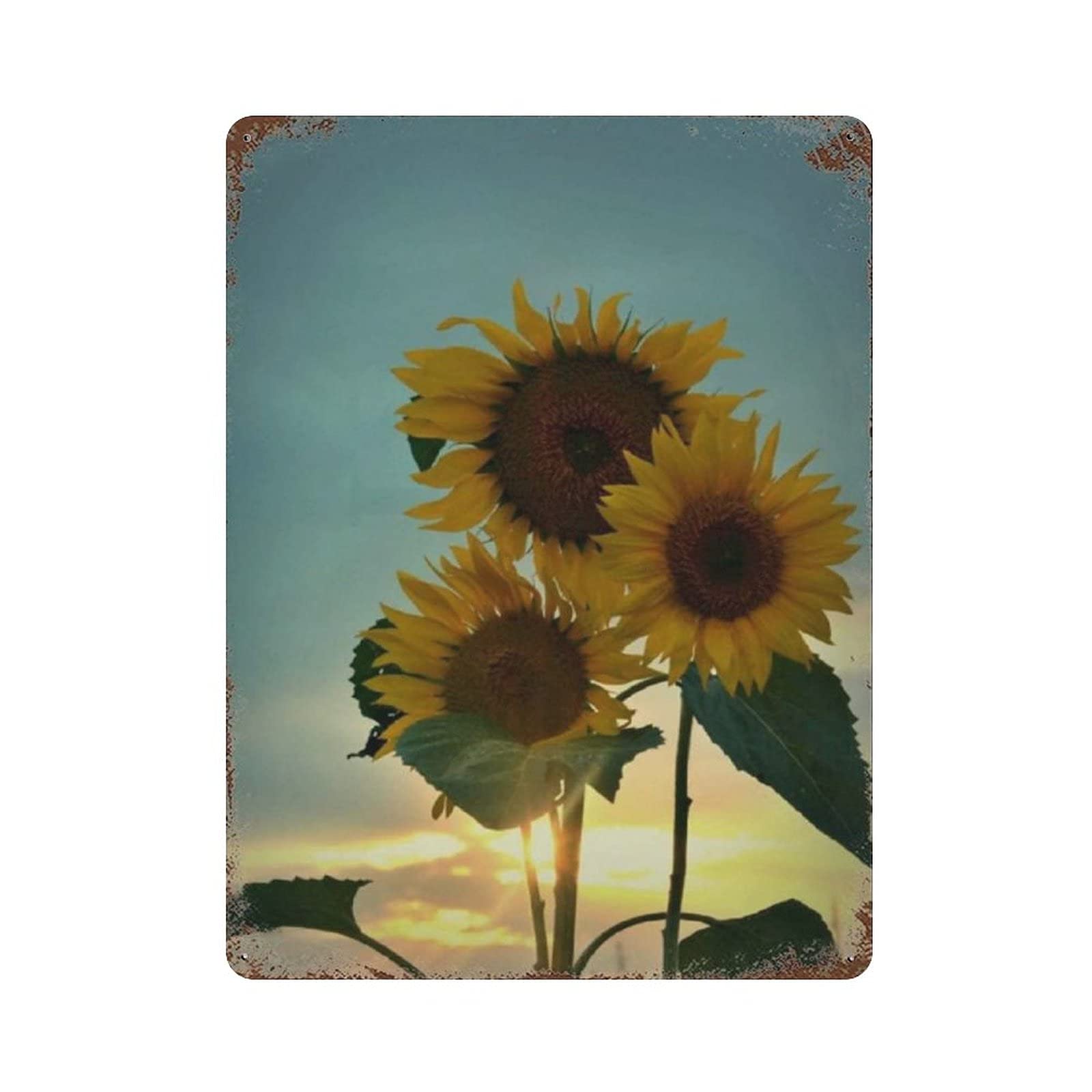 Three Sunflowers Metal Signs, Fun Poster For Bar Kitchen Cafe Farmhouse Wall Decor 12x16 inch
