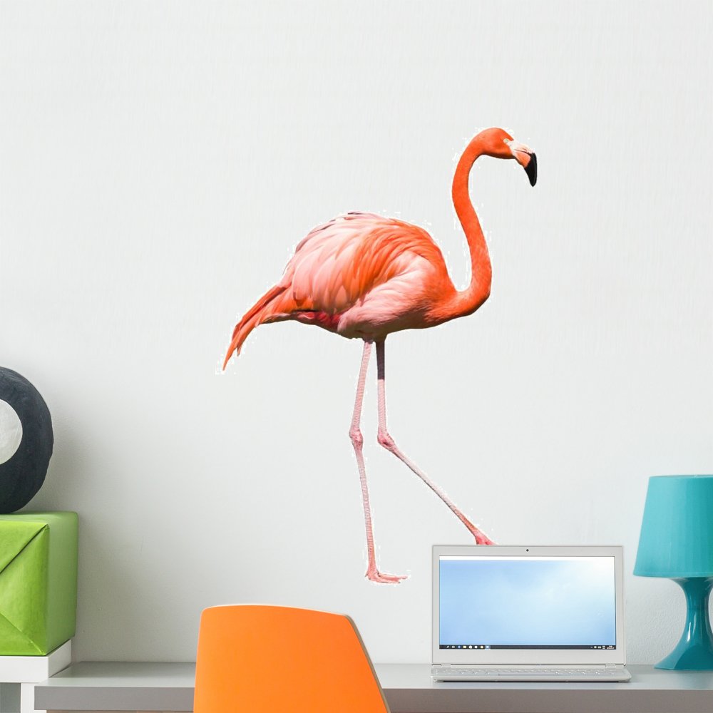 Red Caribbean Flamingo Dancing Wall Decal by Wallmonkeys Peel and Stick Graphic (24 in H x 17 in W) WM113023