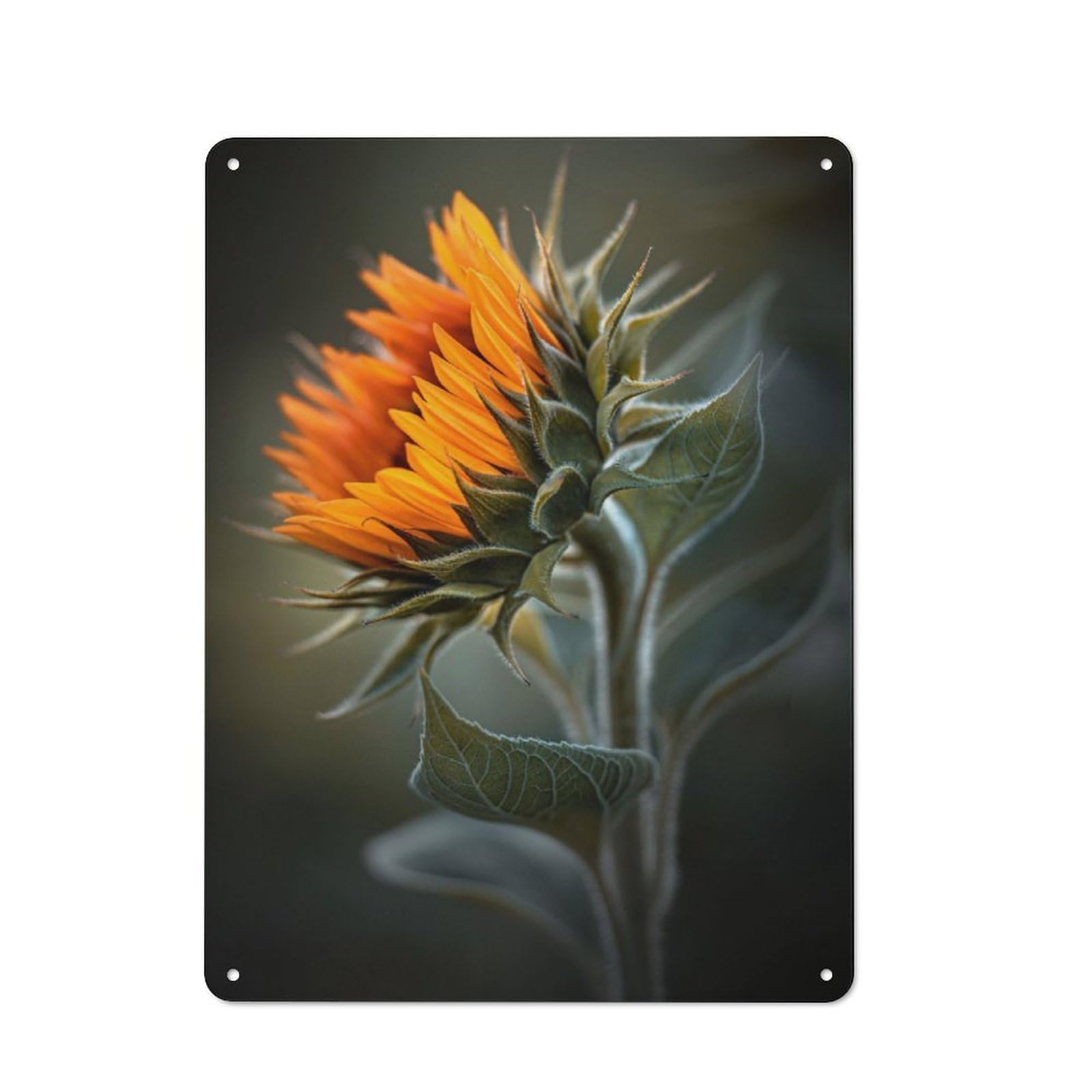 Junmoney Beautiful Sunflower For Garden Room Or Summerhouse, Retro Tin Sign 40X30cm, Suited To Wall Displays In Garden Rooms And Summerhouses