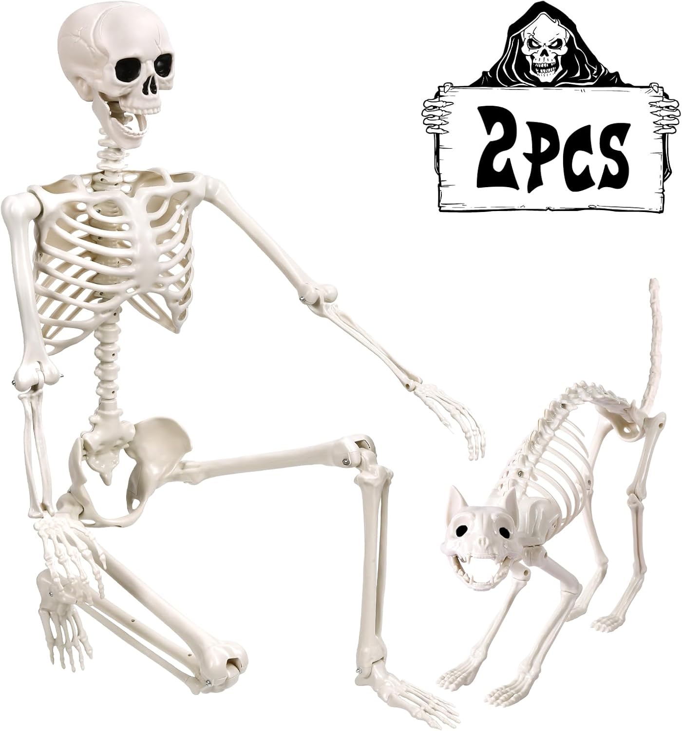 5.4Ft Halloween Life Size Human Skeletons with Cat Skeleton, Plastic Human Realistic Poseable Skeletons Full Body Bones with Movable Joints for Halloween Props Spooky Party Decoration