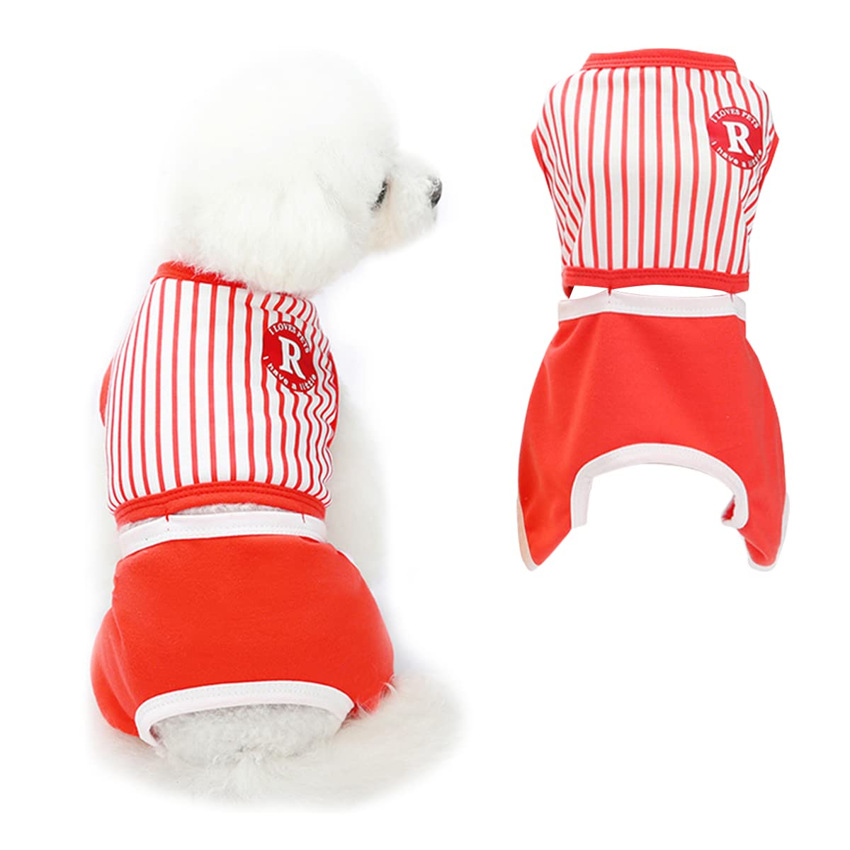 伊勢丹限定カラー赤⭐︎chiiiibag leather basket バスケット犬服 M