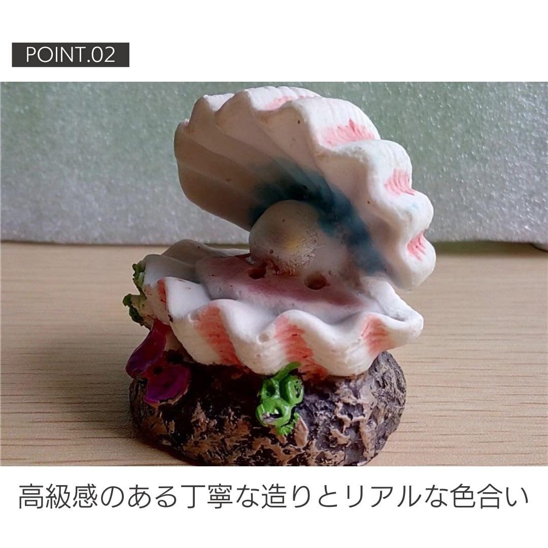 Amazon | [AiO JAPAN] アクアリウム 貝殻 オブジェ 水槽 置物