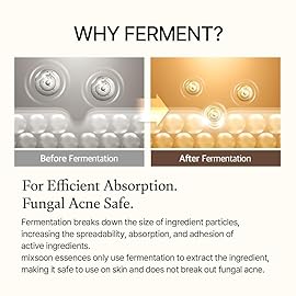 mixsoon Bean Essence-Exfoliating, Hydrating, Fermented Bean Extract, Gentle Formula for Smooth Skin 50ml / 1.69 fl.oz. Korean Glass Skin Care