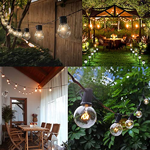 Etwincoo Wax Warmer Bulbs, G50 25 Watt Light Bulbs For Full Size Scentsy Warmers, G16.5 Globe E12 Base Clear Scentsy Light Bulbs For Wax Warmers - Long Life-Span And Melt Wax Fast, 120 Volt (6 Pack) #TOP6