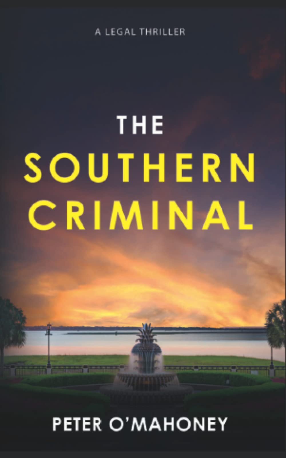 The Southern Criminal: An Epic Legal Thriller: 2 (The Southern Lawyer Series)