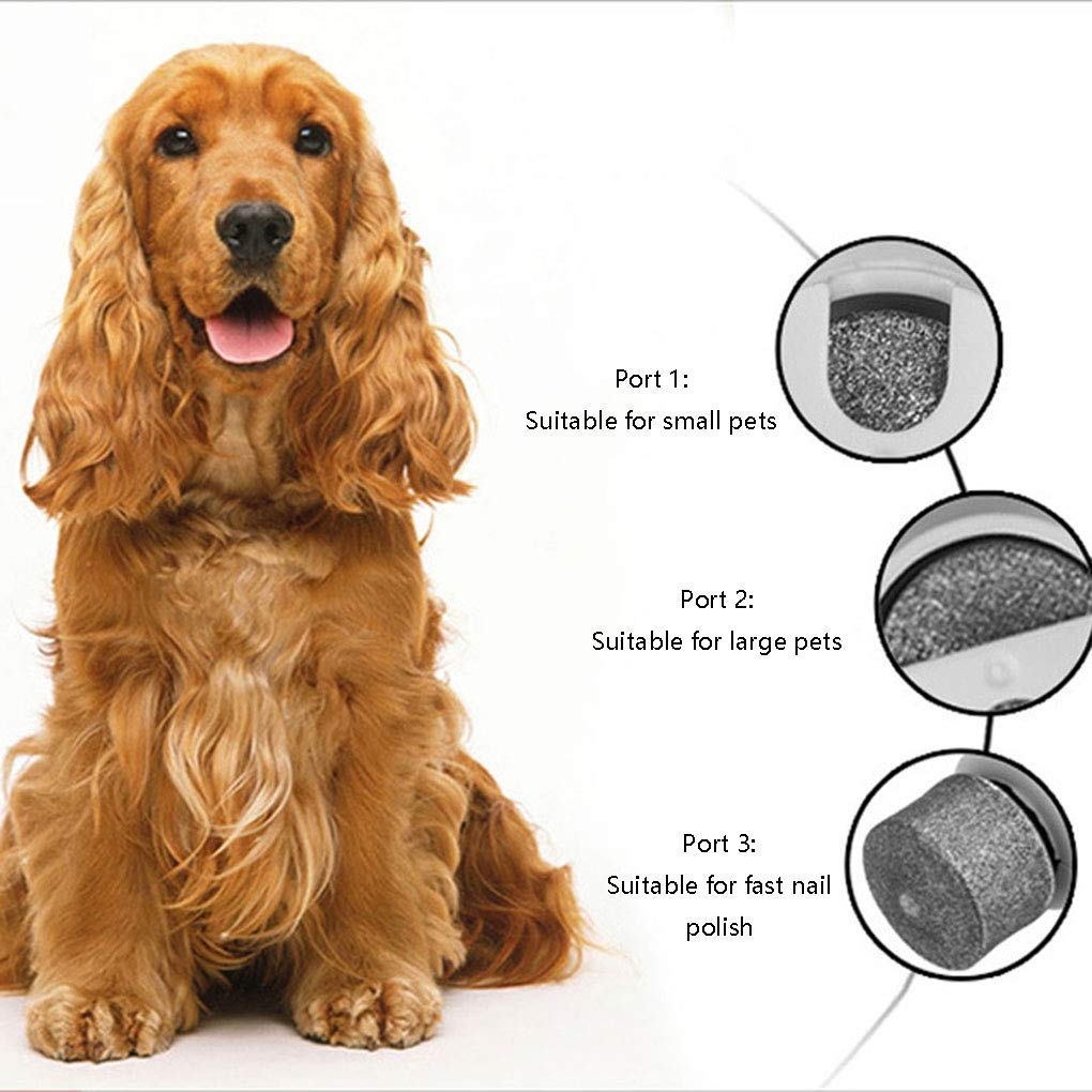 Broyeur à Ongles léger pour Animaux de Compagnie - Tondeuse de Lime à Ongles électrique Ultra silencieuse pour Chien, Rechargeable par USB Rapide, Soin Doux des Griffes de Chat pou